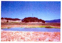 pci_novato_wetlands_1994.jpg 312K