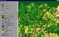 veg_usfs_nfbig.gif 95K