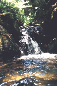 schoon_nf_falls.jpg 107K