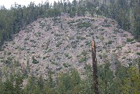 hummocky_ground_on_beatty_ridge_6_sm.jpg 101K