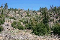 west_face_beatty_ridge_sm.jpg 135K