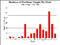 wcsh0downmigbyweek1996.gif 18K