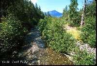 grider_creek_bridge_2002.jpg 156K