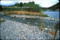 horse_creek_klamath_river.jpg 139K