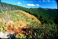 indian_creek_eastfrkheadwtr.jpg 153K