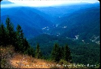 klamath__canyon_offieldsalmn.jpg 88K