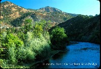 klamath_river_collier_ra.jpg 124K