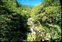 salmon_river_little_n_frk.jpg 188K