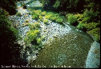 salmon_river_n_forks_br.jpg 146K