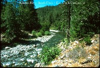 salmon_river_s_frk_e_frk.jpg 154K