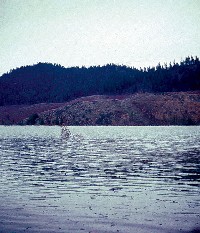 lake_filling07.jpg 131K