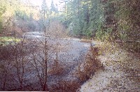 12_31_02_117a_rancheria_usfishrock_sm.jpg 34K