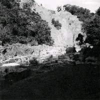 bigsulphur_d_habitat1.jpg 160K