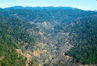 nw25_aerial_overview_juan_cr_clearcuts_mar77.jpg 446K